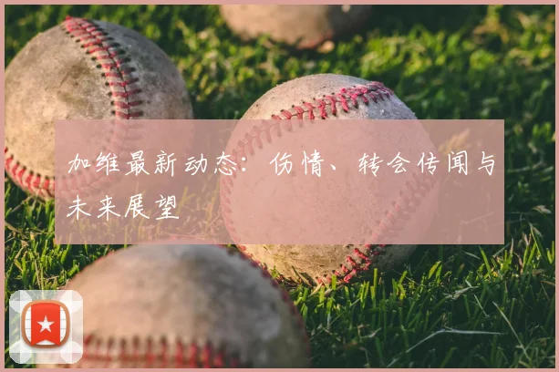 加维最新动态：伤情、转会传闻与未来展望